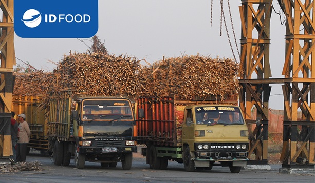 Lindungi Petani Tebu, ID FOOD Serap Gula Petani di Tengah Anjloknya Harga Jual Gula