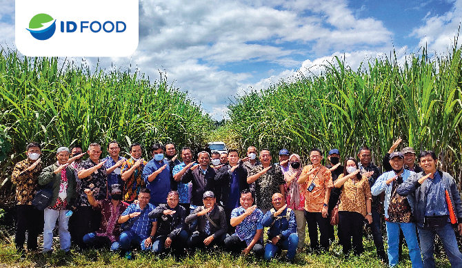 ID FOOD Cek Persiapan Giling dan Stok Gula untuk Kebutuhan Puasa dan Lebaran di Wilayah Jawa Timur