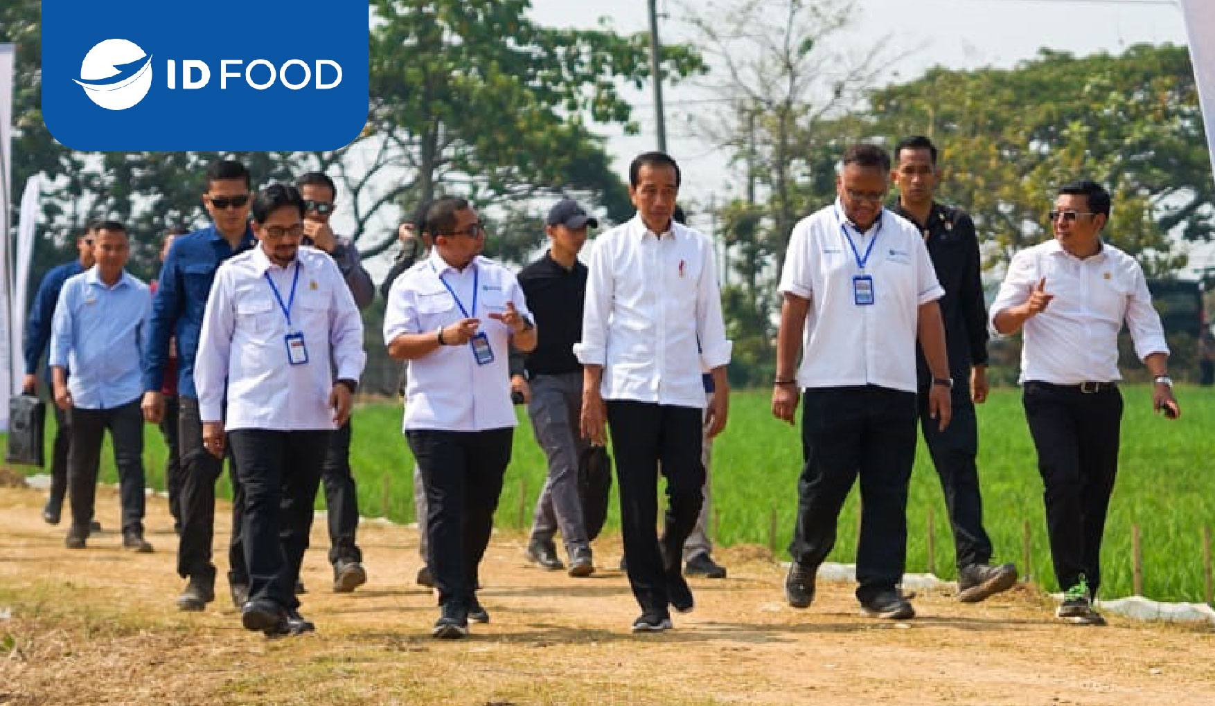 Pastikan Produksi Padi Di Tengah El Nino, Presiden Jokowi Tinjau Panen dan Lokasi Pembudidayaan Benih Unggul ID FOOD: Hasilnya Bagus