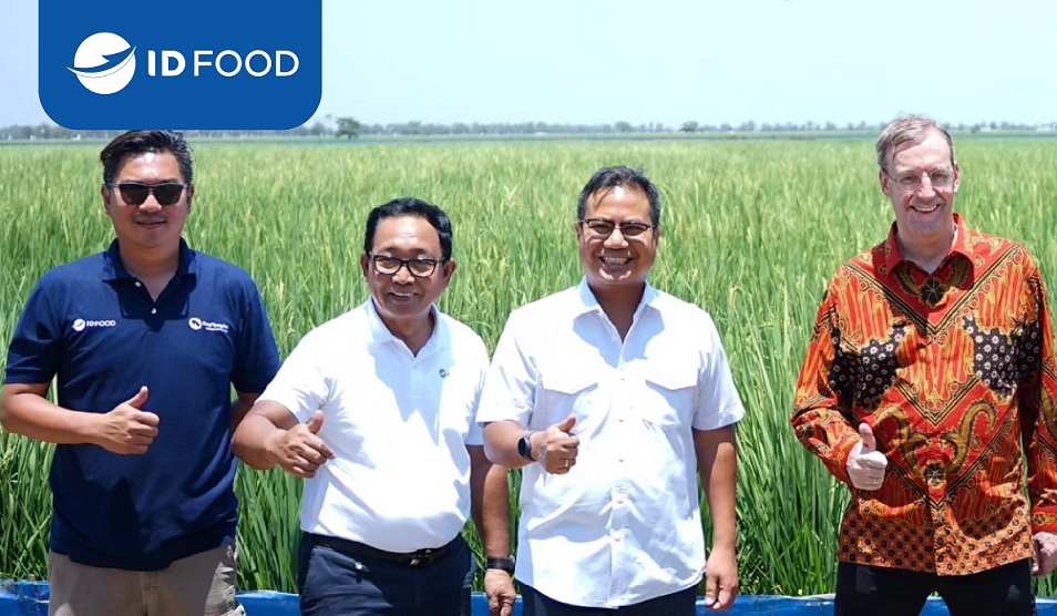 Bersama Sekretaris Kementerian BUMN dan Kedutaan Besar Belanda, ID FOOD Dorong Iptimalisasi Fasilitas dan Lahan Pertanian SHS di Sukamandi