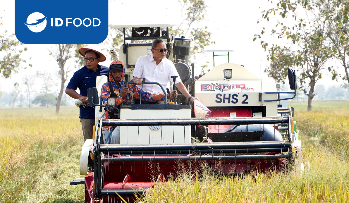 Menko Bidang Pangan Dukung Pengembangan Benih Padi di Lahan Pertanian Sukamandi