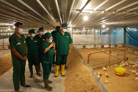 Kunjungi Farm Grand Parent Stock Ayam Broiler Berdikari, Direksi RNI bersama Asdep IIP dan Direksi Berdikari bahas Potensi Pengembangan Peternakan Ayam